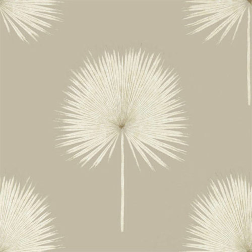 Fan Palm 216637